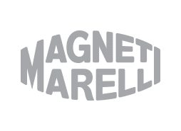 Magneti